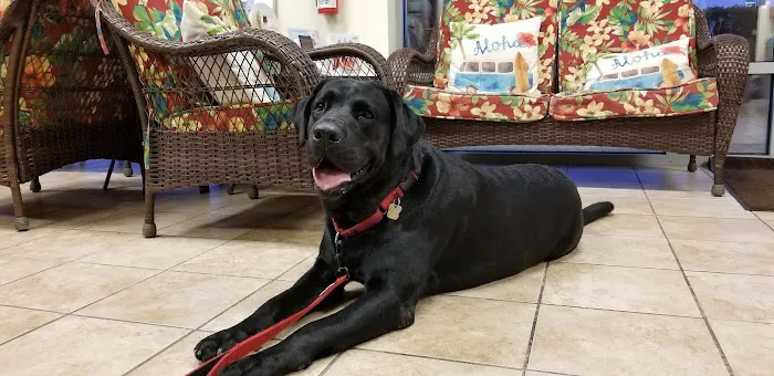 Ohana Veterinary Care 2