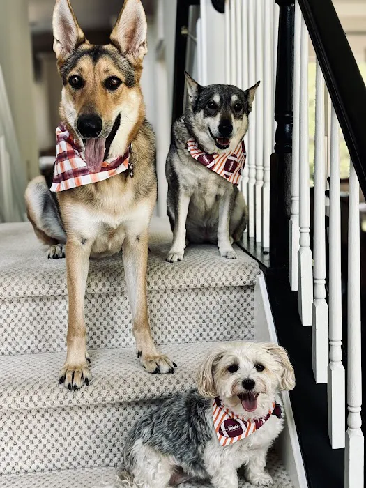Ohana Veterinary Care 3