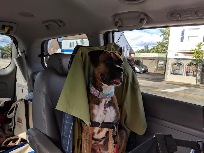 Nokesville Veterinary Clinic 4