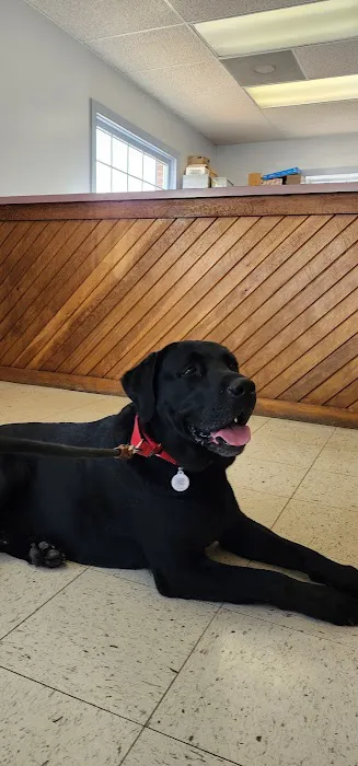 Nokesville Veterinary Clinic 6