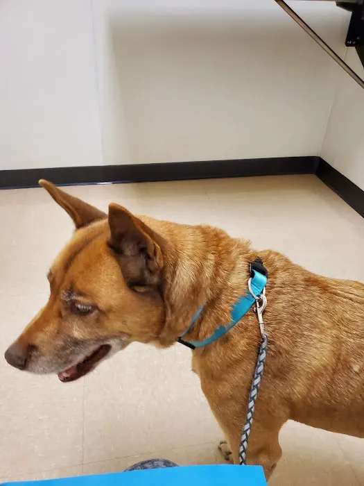 Stonewall Veterinary Clinic 3