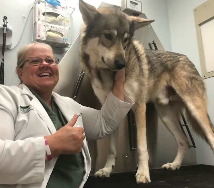 Green Valley Animal Hospital - Maryland 12