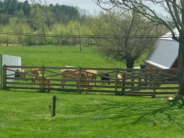 Green Valley Animal Hospital - Maryland 12