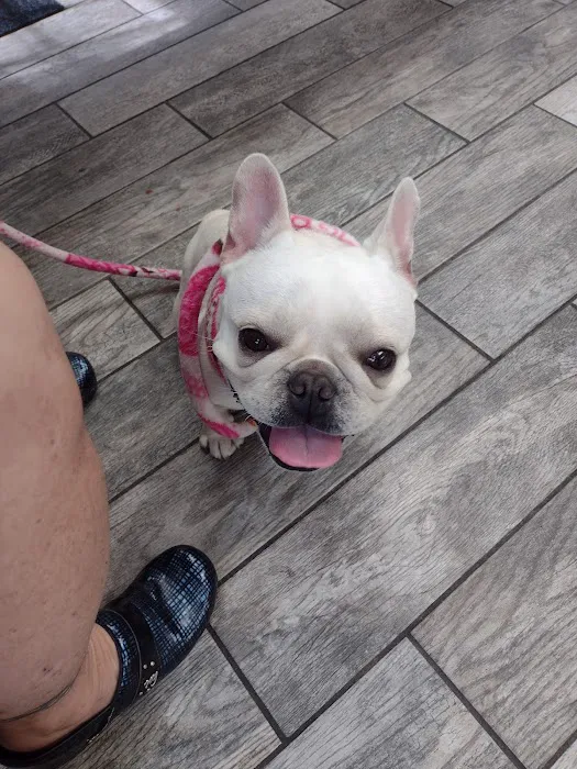 Green Valley Animal Hospital - Maryland 12