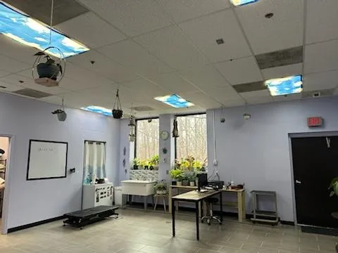 Independent Hill Veterinary Clinic 2