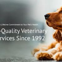 Independent Hill Veterinary Clinic ico