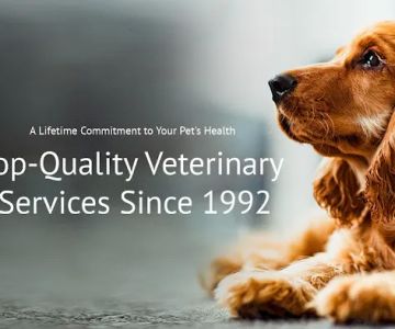 Independent Hill Veterinary Clinic