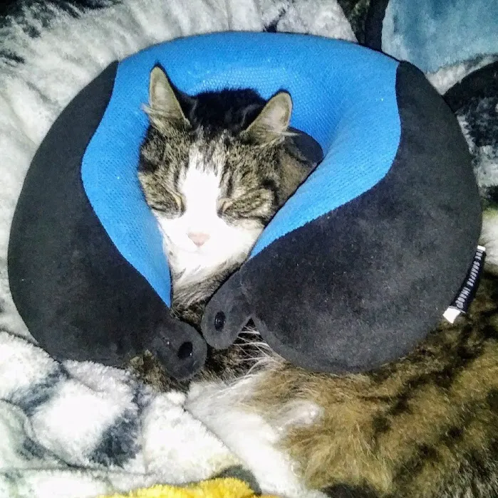 Independent Hill Veterinary Clinic 5