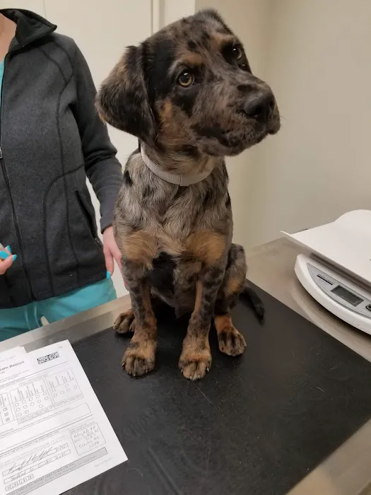 Rolling Hills Animal Hospital 12
