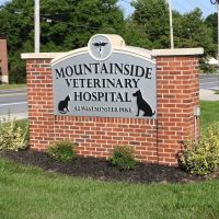 Mountainside Veterinary Hospital ico
