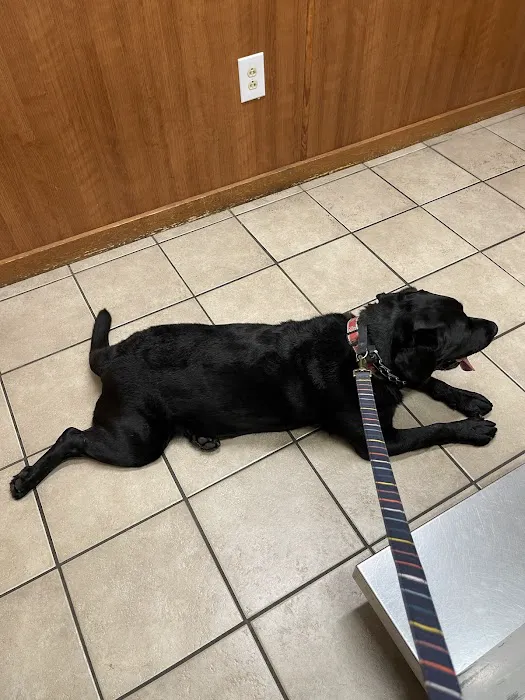 Mountainside Veterinary Hospital 10