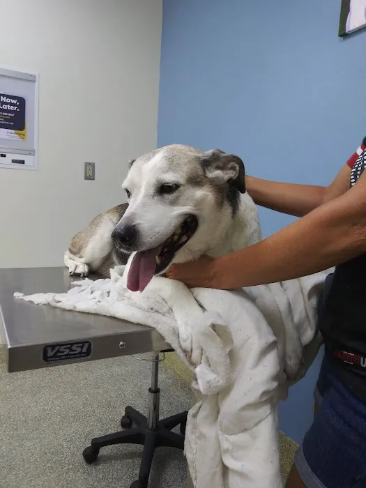 Central Carroll Animal Emergency 9