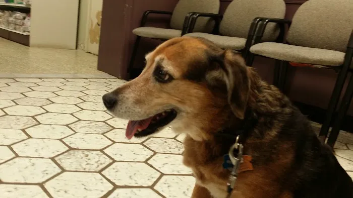 Carroll County Veterinary Clinic 10