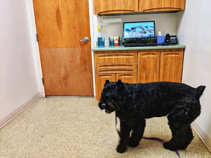 Northwind Animal Hospital 4