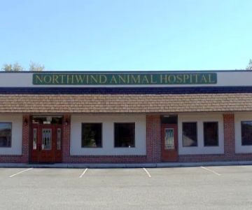Northwind Animal Hospital