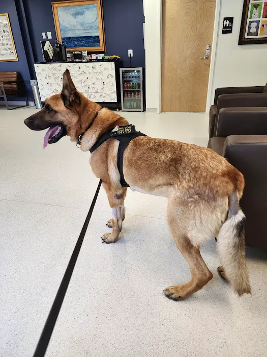 Nexus Veterinary Specialists 12