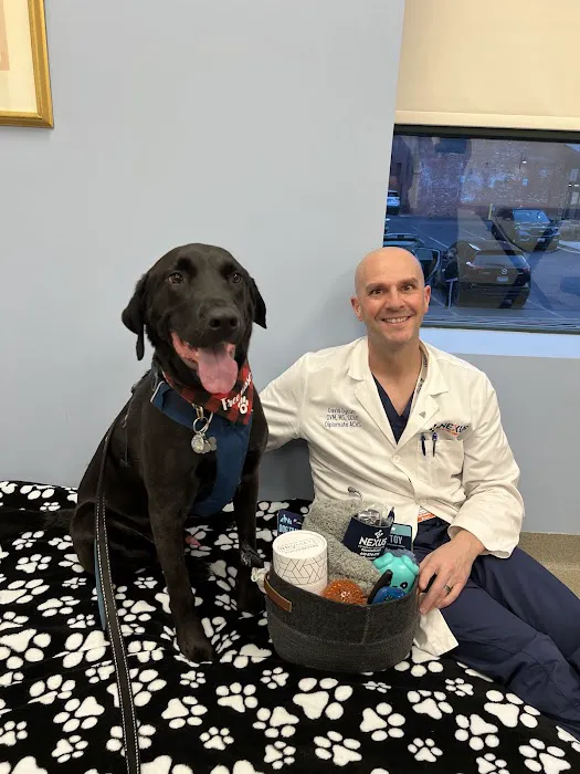 Nexus Veterinary Specialists 12