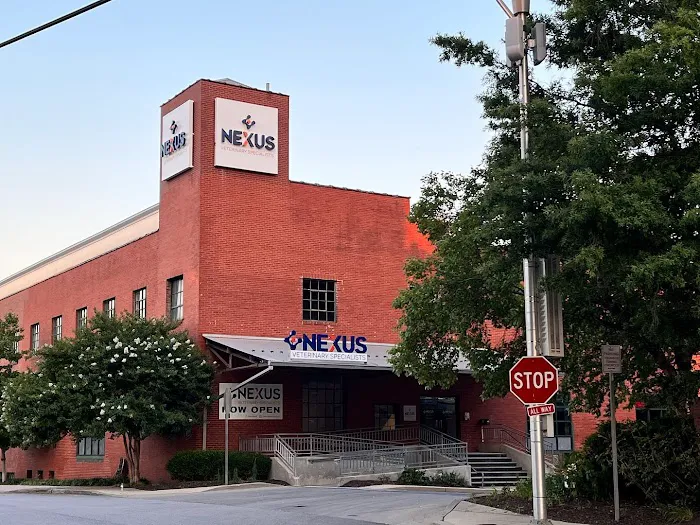 Nexus Veterinary Specialists 12