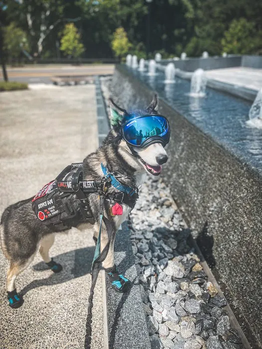 Nexus Veterinary Specialists 12