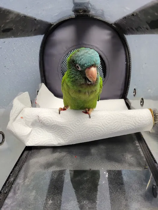 Academy Animal Hospital 8