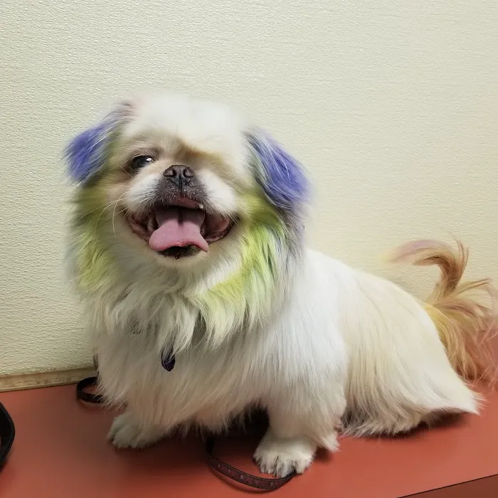 Rosedale Animal Hospital 1