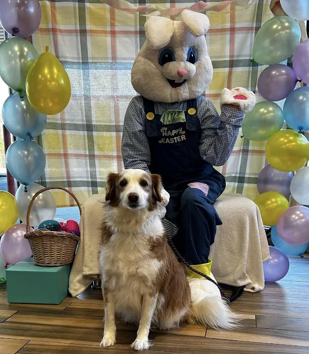 Eastern Animal Hospital 3