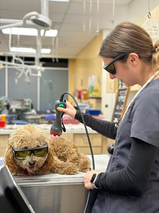 Eastern Animal Hospital 5
