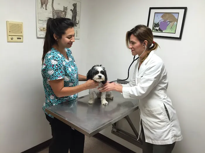 Linganore Veterinary Clinic 10