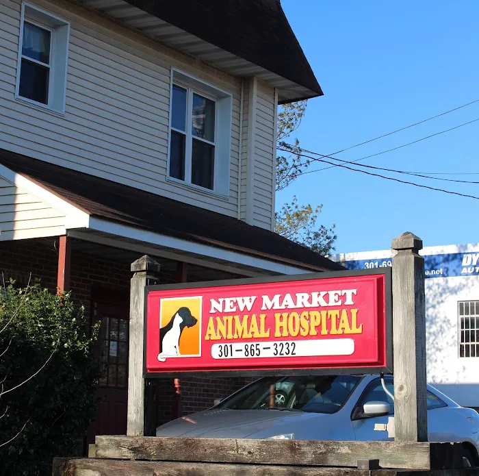 New Market Animal Hospital 12