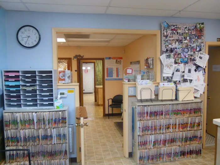 New Market Animal Hospital 12