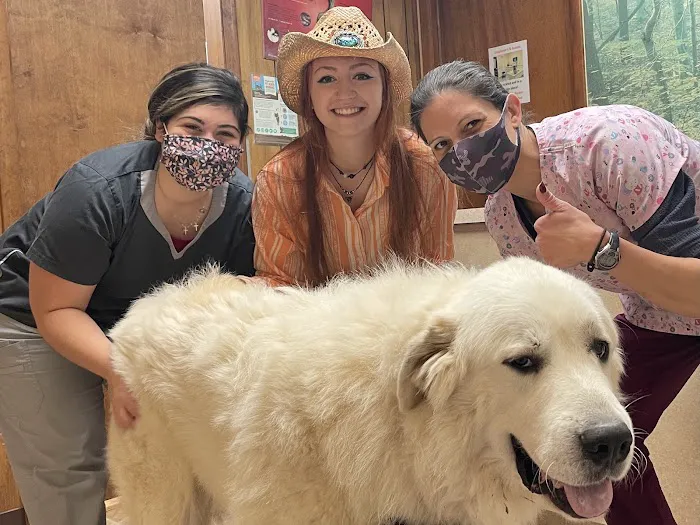New Market Animal Hospital 12