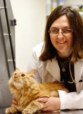P.A.W. Veterinary Clinic 7
