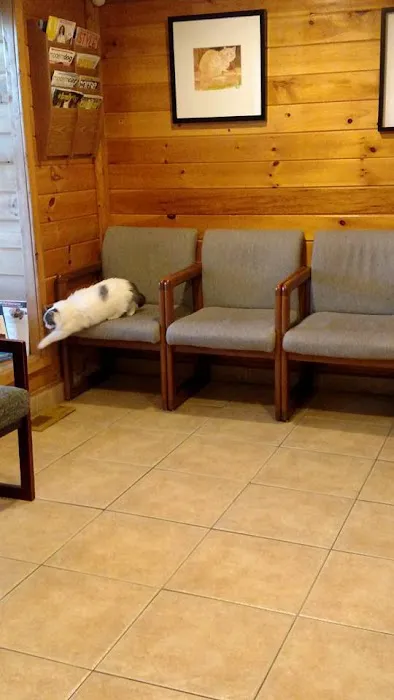 P.A.W. Veterinary Clinic 4