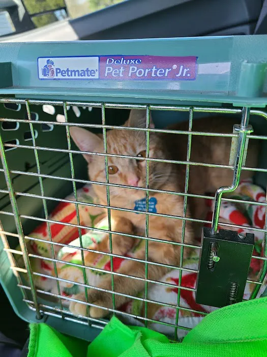 P.A.W. Veterinary Clinic 5