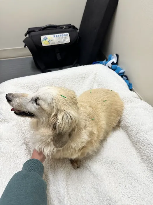 Big River Veterinary Acupuncture 12