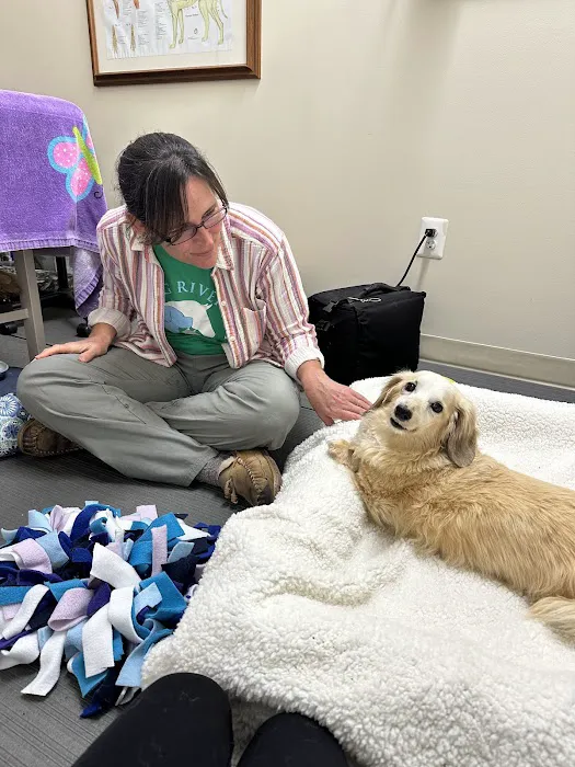 Big River Veterinary Acupuncture 12