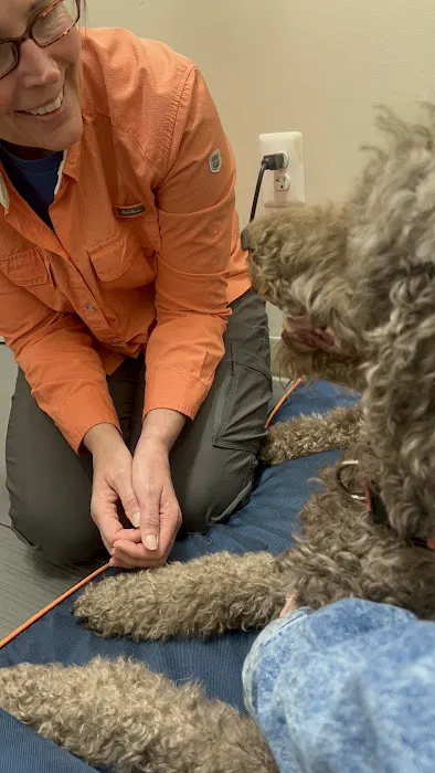 Big River Veterinary Acupuncture 12