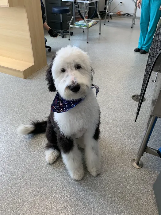 Companion Care Veterinary Hospital 12