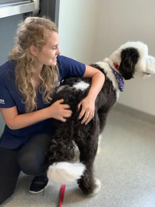 Companion Care Veterinary Hospital 12