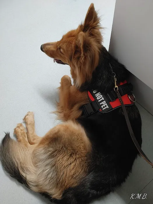 Tidewater Veterinary Hospital 12