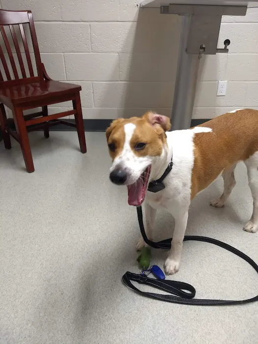 Tidewater Veterinary Hospital 12
