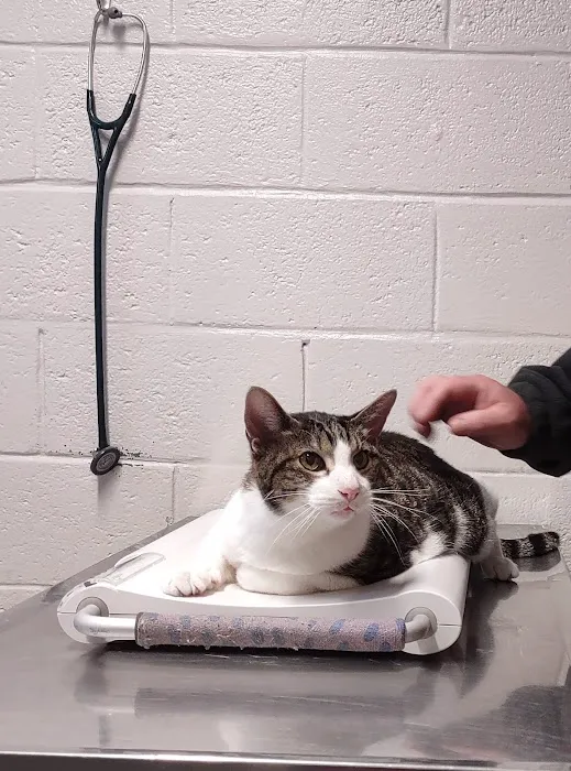 Tidewater Veterinary Hospital 12