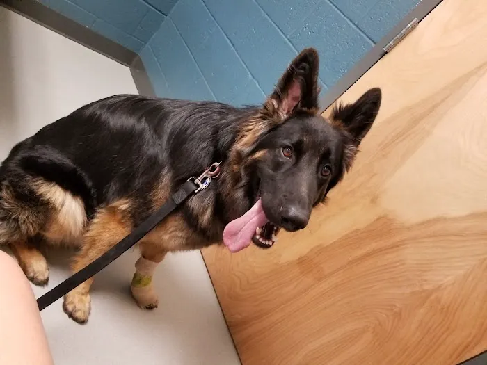 Tidewater Veterinary Hospital 12