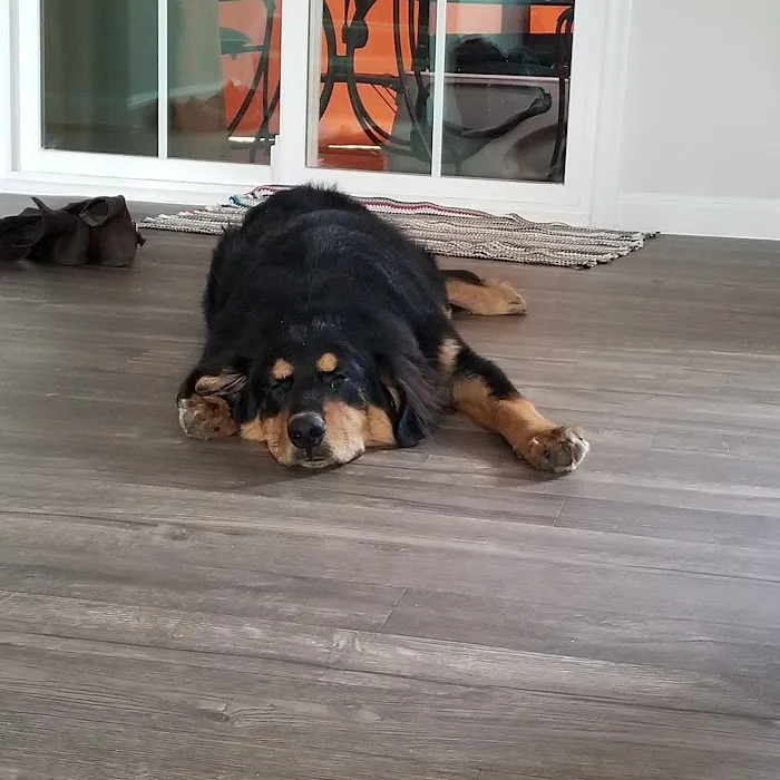 Simpsonville Animal Hospital 9