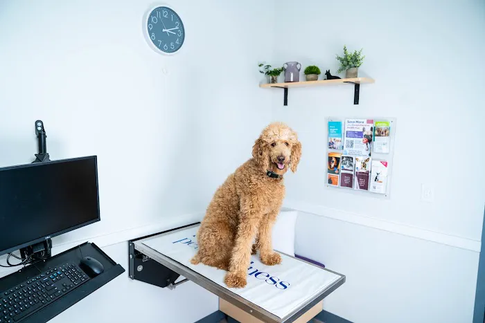 My Pets Wellness - Veterinarian - Simpsonville 1