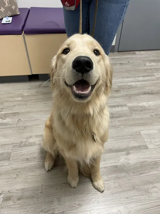 My Pets Wellness - Veterinarian - Simpsonville 2
