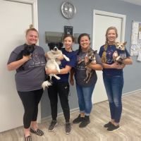 Cedar Lake Animal Hospital ico