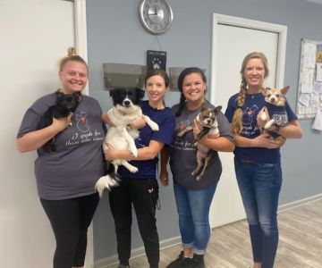 Cedar Lake Animal Hospital