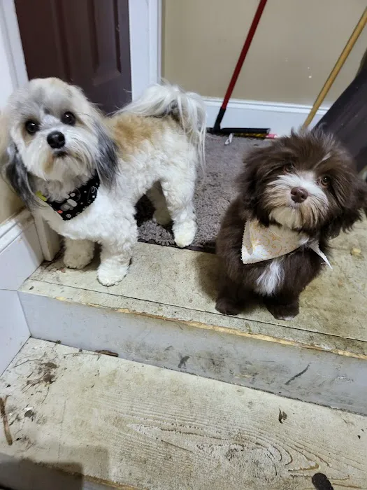 Fountain Inn Animal Clinic 9