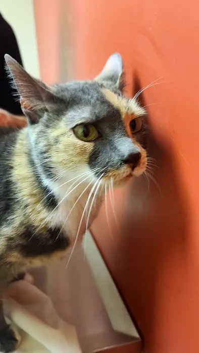 Sycamore Veterinary Services 12